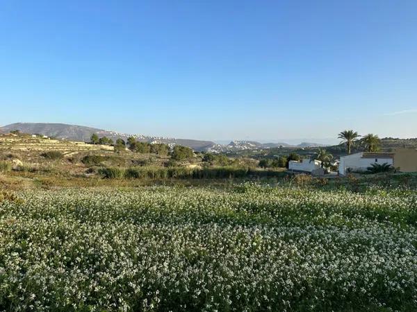 Terreno en Teulada