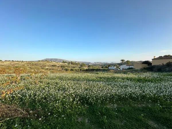 Terreno en Teulada