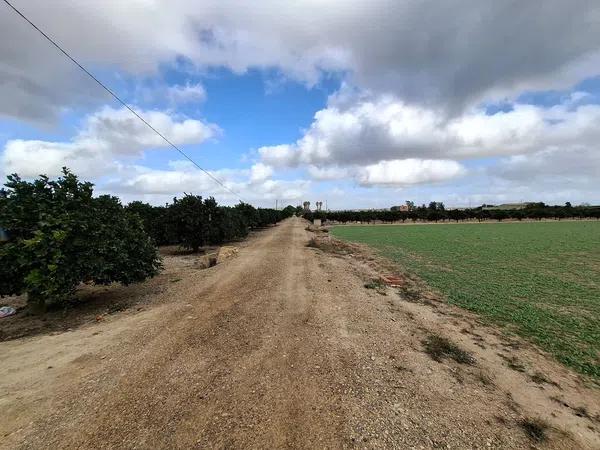 Terreno en Partida Almarjal, 2