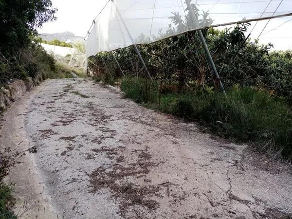 Terreno en Partida Segarra, 7