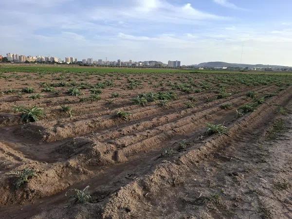 Terreno en Puerto Deportivo