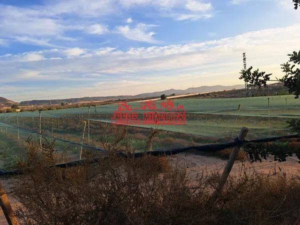 Terreno en Monforte del Cid