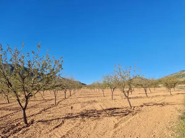 Terreno en La Romana