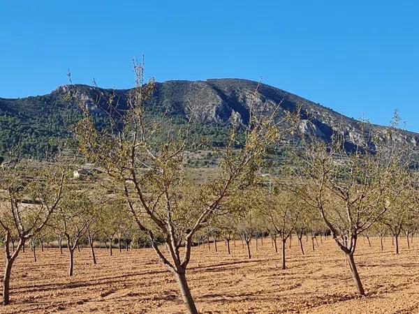 Terreno en La Romana