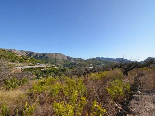 Terreno en Callosa d'En Sarria