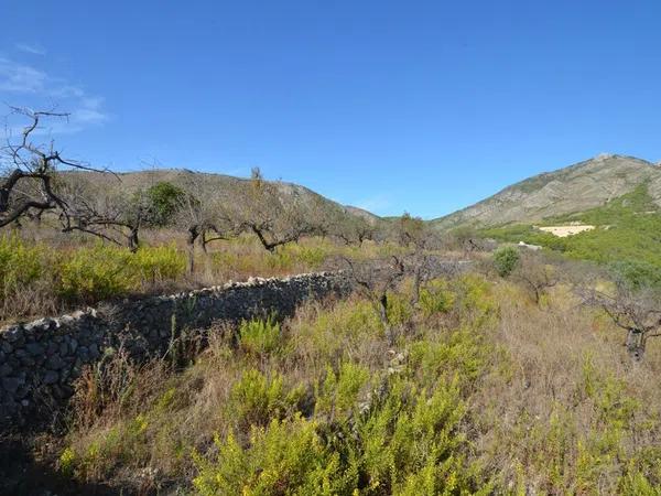 Terreno en Callosa d'En Sarria