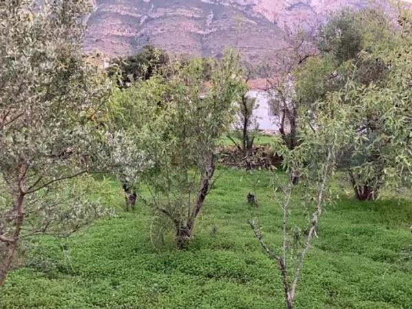 Terreno en Assagador de Santa Llúcia