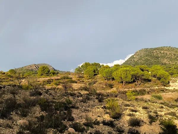 Terreno en camino de las Conejeras, 23 Poligonoparcela