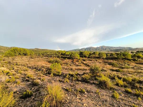 Terreno en camino de las Conejeras, 23 Poligonoparcela