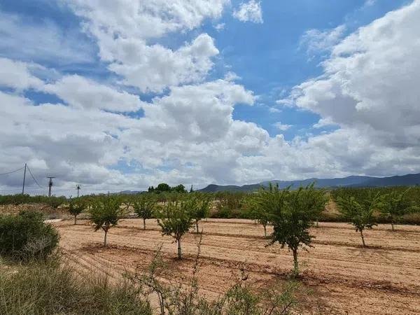 Terreno en Pinoso