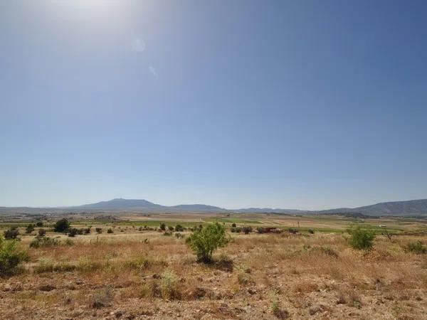 Terreno en Pinoso