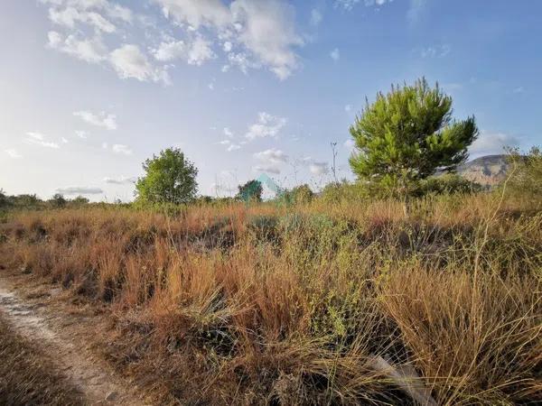 Terreno en Partida Comunes-Adsubia