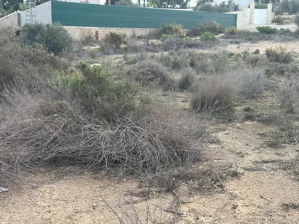 Terreno en La Marina