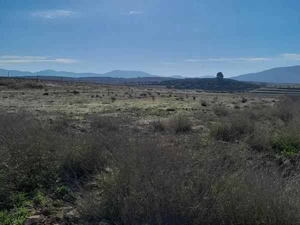 Terreno en Pinoso