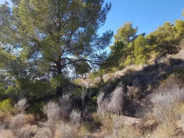 Terreno en Finestrat Pueblo