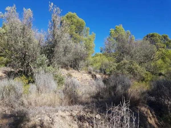 Terreno en Finestrat Pueblo