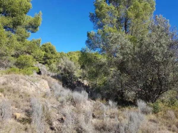 Terreno en Finestrat Pueblo