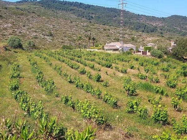 Terreno en Desconocido