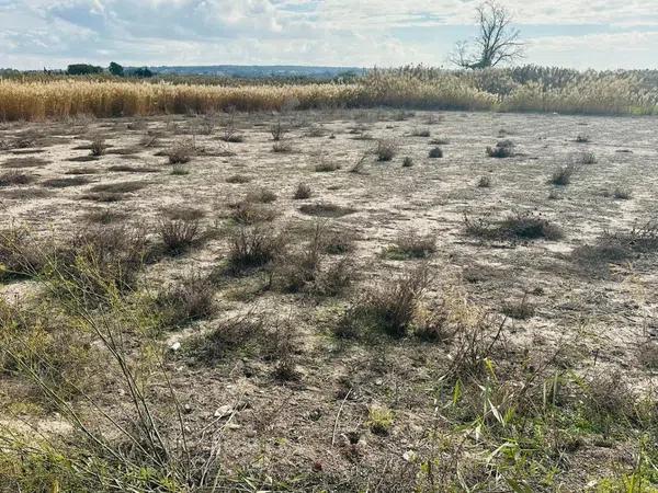 Terreno en La Marina