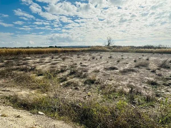 Terreno en La Marina