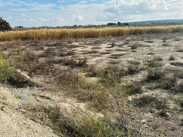 Terreno en La Marina