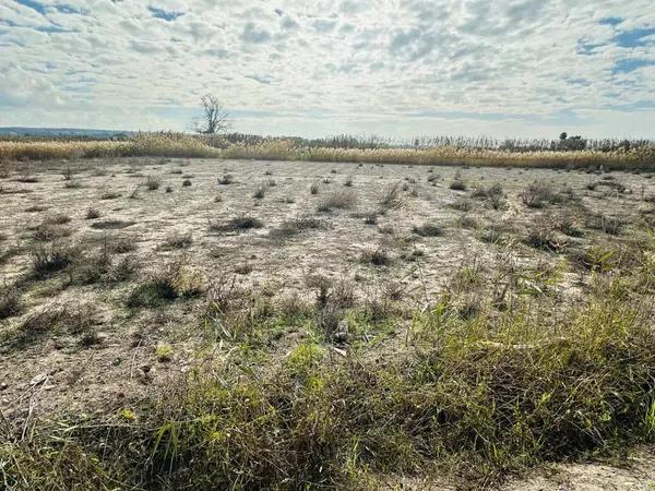 Terreno en La Marina