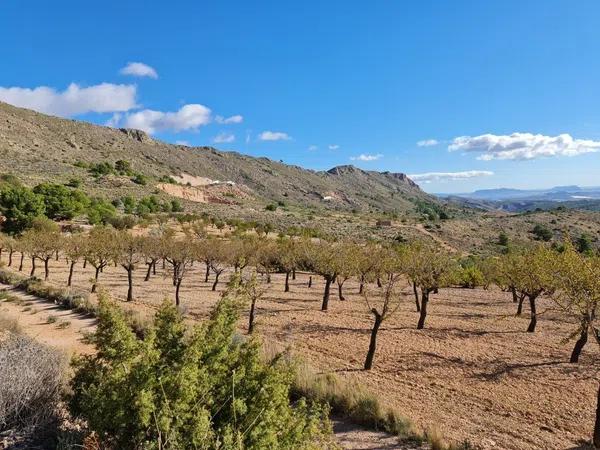 Terreno en La Romana