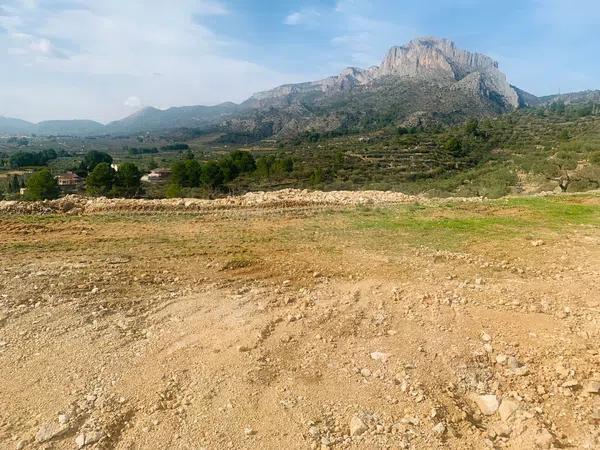 Terreno en camino de l'Ermita, km 4