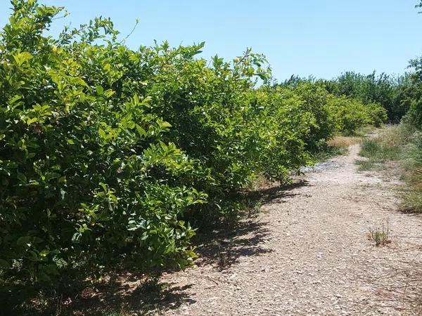 Terreno en Lugar Arneva, 116