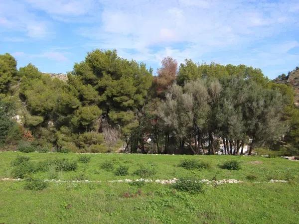 Terreno en Partida Tosal - Zona dels Castellans