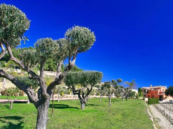 Terreno en Vall de Laguart