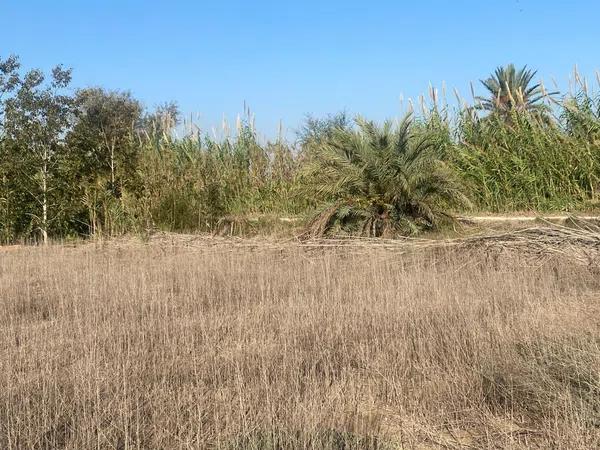 Terreno en Tamarit - Playa Lissa