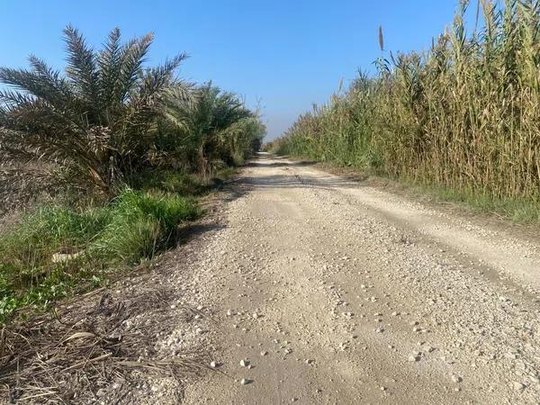 Terreno en Tamarit - Playa Lissa