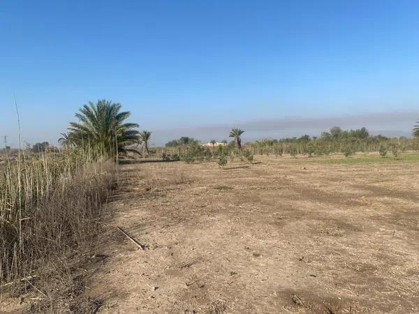 Terreno en Tamarit - Playa Lissa