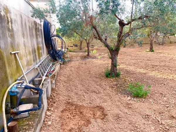 Terreno en Cañada del Fenollar