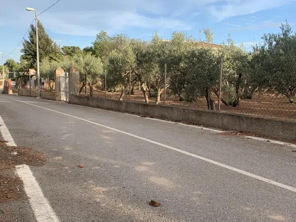 Terreno en Cañada del Fenollar