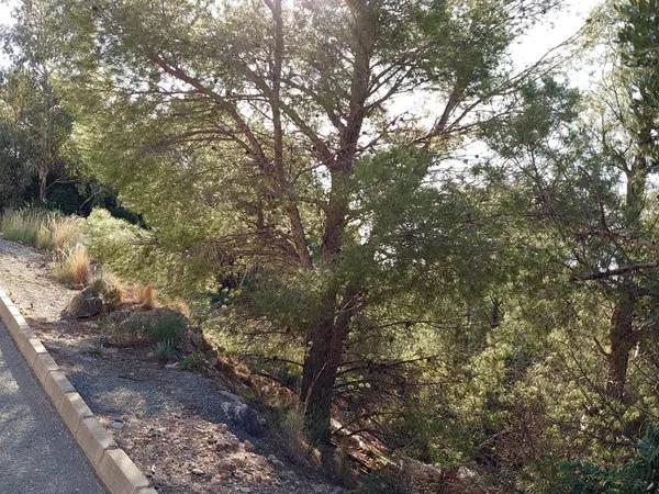 Terreno en Altea la Vella