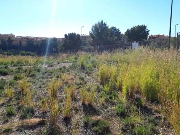 Terreno en Centro Ciudad