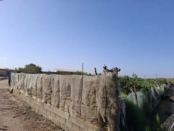 Terreno en Puerto Deportivo