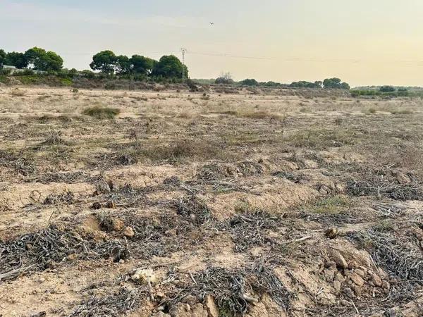 Terreno en La Marina