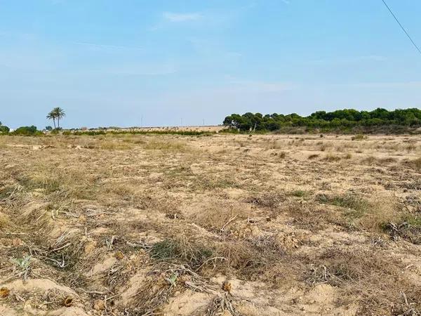 Terreno en La Marina