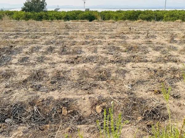 Terreno en La Marina