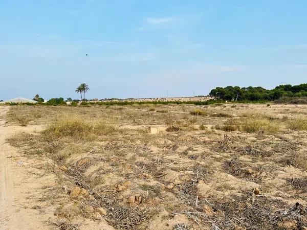 Terreno en La Marina