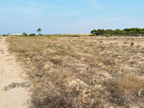 Terreno en La Marina