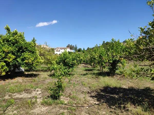 Terreno en Guadalest