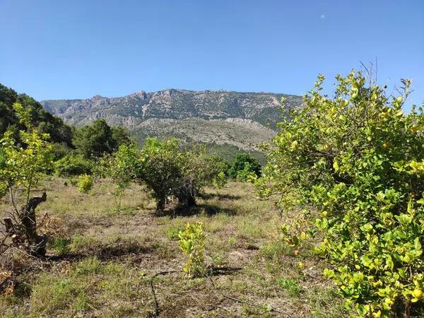 Terreno en Guadalest