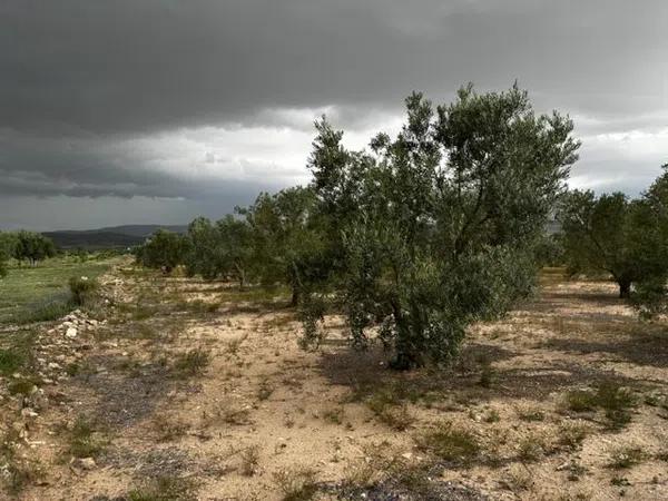 Terreno en Biar