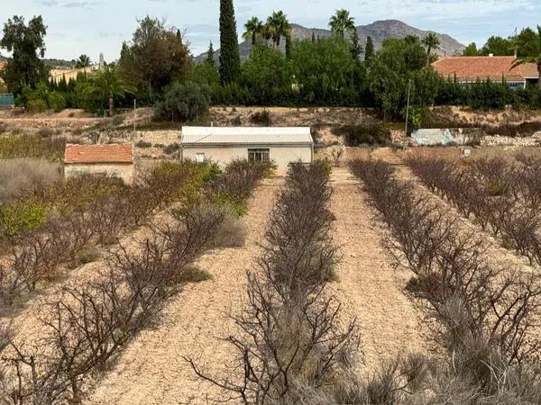 Terreno en camino de la Pedrera, 1