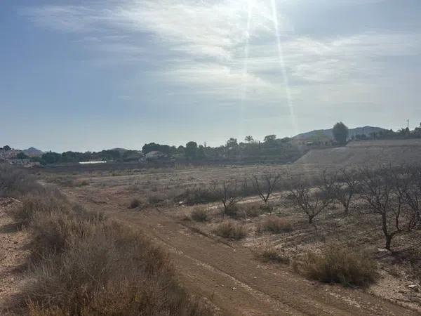 Terreno en camino de la Pedrera, 1