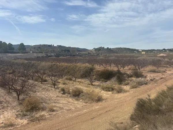 Terreno en camino de la Pedrera, 1